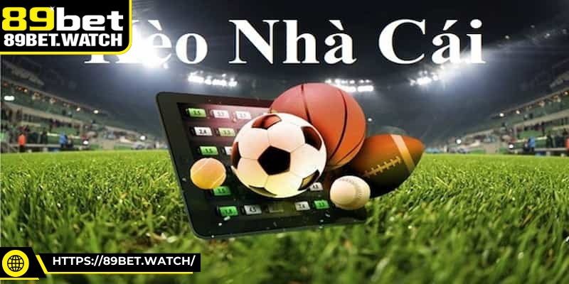 Truy cập vào các trang cập nhật kèo nhà cái bạn sẽ thấy giao diện ưa nhìn