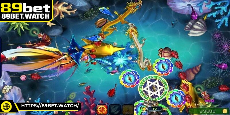 Lý do ngư thủ cần nắm bắt mẹo bắn cá