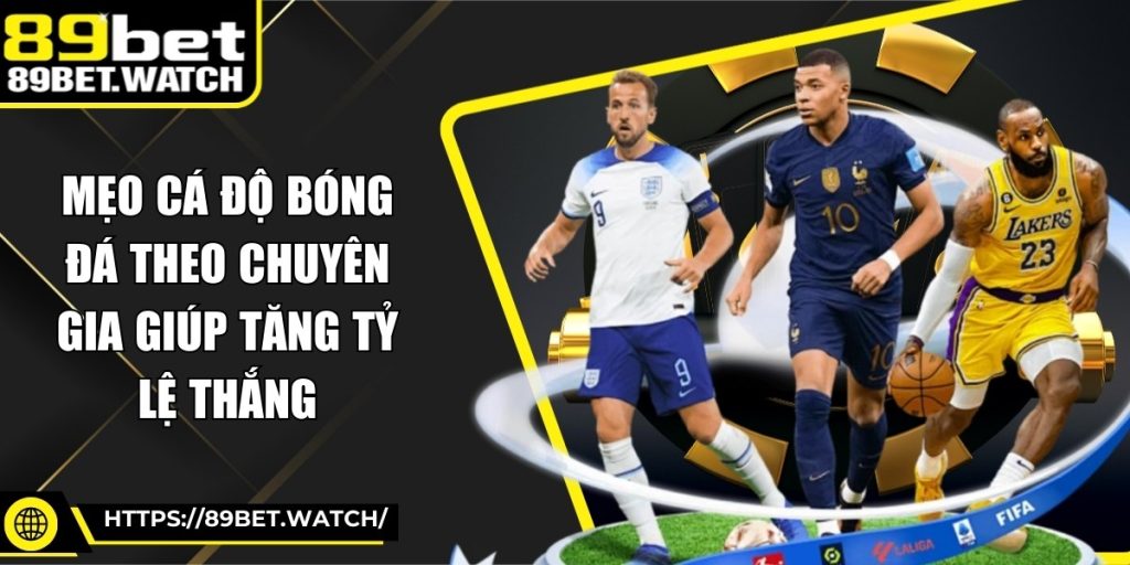 Mẹo Cá Độ Bóng Đá