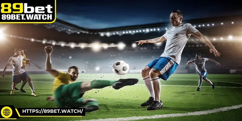 Tham khảo nhận định từ chuyên gia đưa ra dự đoán có độ tin cậy cao